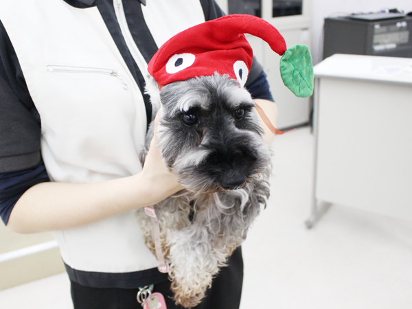 ２年生とモデル犬の写真撮影会♪～PART②～